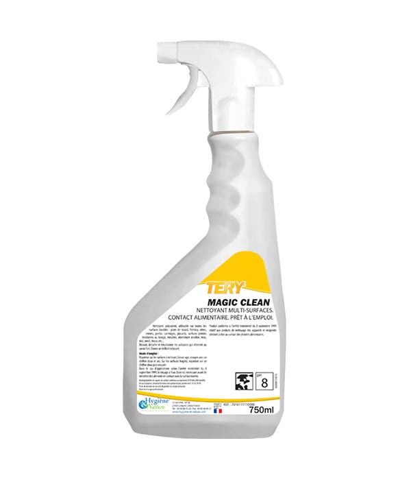 Spray TERY MAGIC CLEAN senteur Pomme - 750 ml